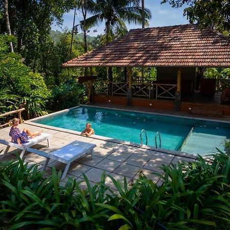 Beyond Eco Living Leilighet Munnar Eksteriør bilde