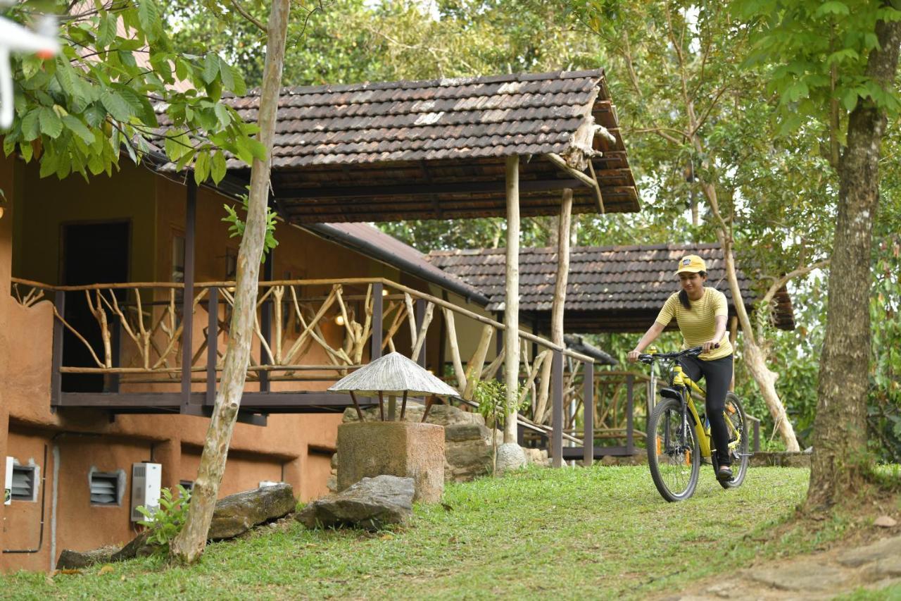 Beyond Eco Living Leilighet Munnar Eksteriør bilde