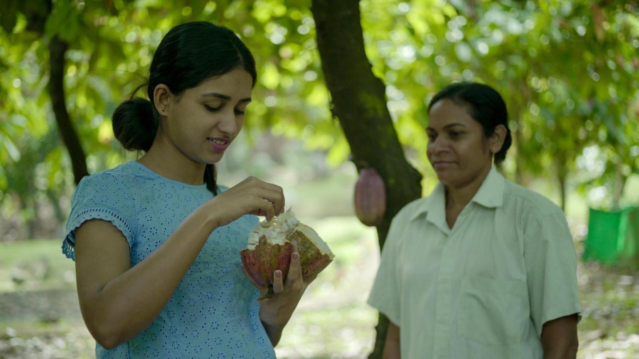 Beyond Eco Living Leilighet Munnar Eksteriør bilde