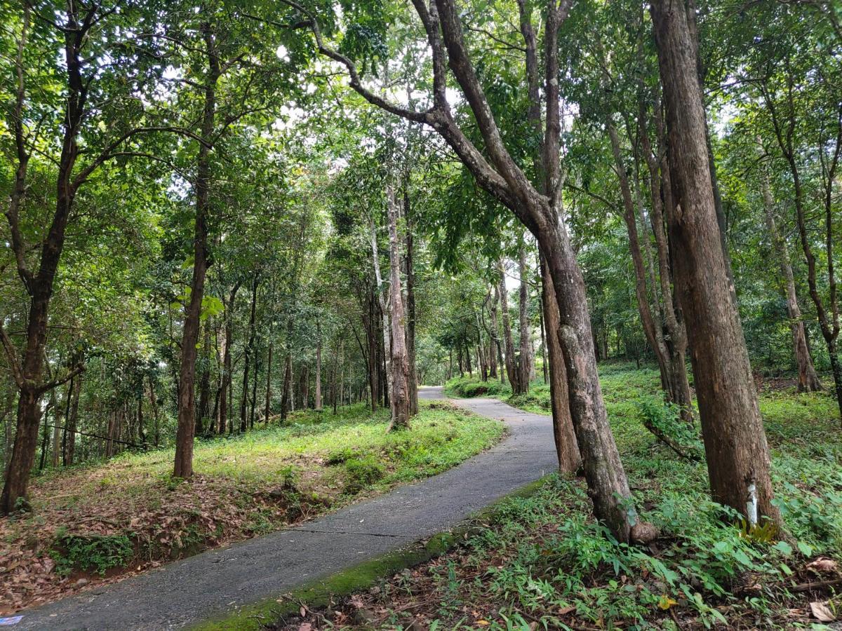 Beyond Eco Living Leilighet Munnar Eksteriør bilde