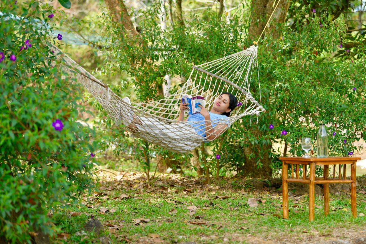 Beyond Eco Living Leilighet Munnar Eksteriør bilde
