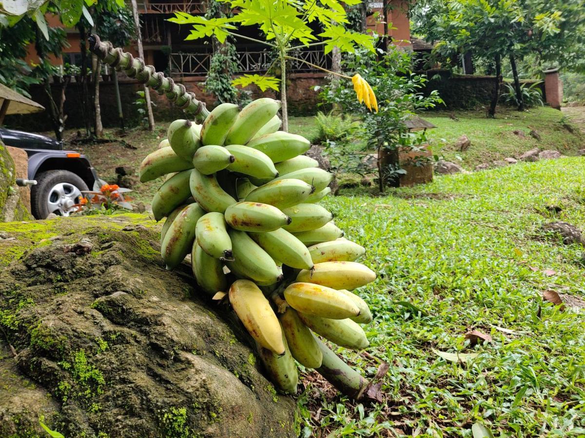 Beyond Eco Living Leilighet Munnar Eksteriør bilde