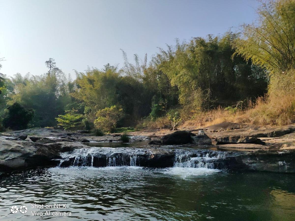 Beyond Eco Living Leilighet Munnar Eksteriør bilde