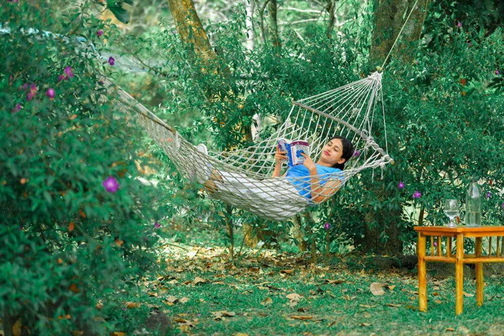 Beyond Eco Living Leilighet Munnar Eksteriør bilde