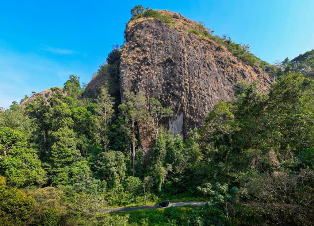 Beyond Eco Living Leilighet Munnar Eksteriør bilde