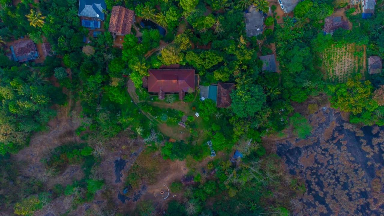 Beyond Eco Living Leilighet Munnar Eksteriør bilde